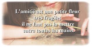 Résultat de recherche d'images pour "de raisons d'amitié"