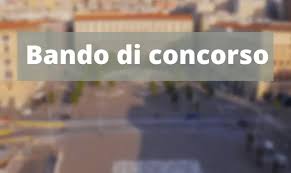 Trend Google: bando di concorso
