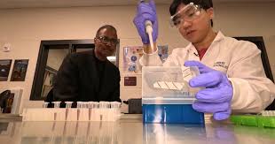Teens' Innovative Approach to Lyme Disease Detection and Treatment