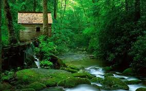 Image result for Amazing HD Nature Wallpapers For Desktop