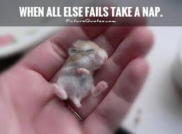 When all else fails take a nap via Relatably.com