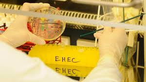 ehec