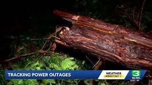 Severe weather causes widespread tree damage in Sacramento region