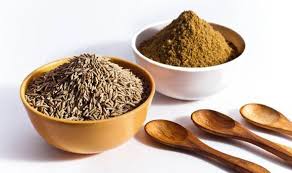 cumin seeds साठी प्रतिमा परिणाम