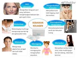 Hasil carian imej untuk collegen powder shaklee