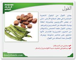 اضغط على الصورة لرؤيتها بالحجم الطبيعي