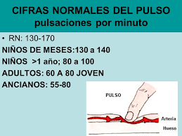 Resultado de imagen para PULSACIONES PARA ESCOLARES