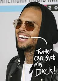 After spending the weekend eating Rihanna&#39;s delicious Thanksgiving cake cake cake, it seems Chris Brown got a tad enraged Sunday when writer Jenny Johnson ... - chris-brown-deletes-twitter-war__oPt