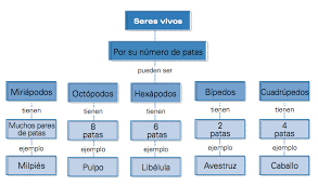 Resultado de imagen para mapa conceptual