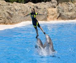 Resultado de imagen de imagenes de loro parque