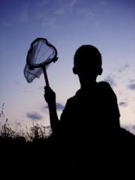 Image result for Entomology Studies