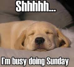 Funny Sunday Quotes. QuotesGram via Relatably.com