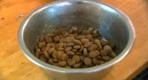 Don't use: 2 popular dog foods recalled over possible contamination with metal, salmonella - AL.com