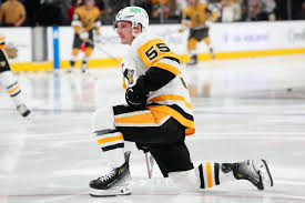 Flyers Sign Noel Acciari