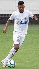 Rodrygo Silva de Goes