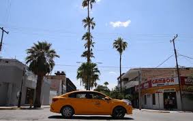 Milenio - News update