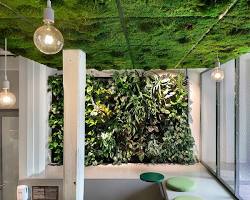 Image of Ceiling Green Wall