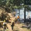 Imagen de la noticia para noticias de incendio de El Sol de Cuernavaca (Comunicado de prensa)