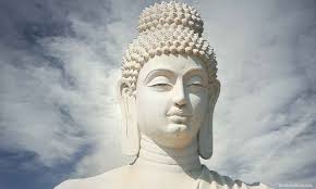 Image result for buddha images