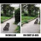 Inshallah chat