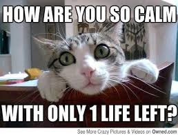 Image result for How are you meme