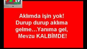 polat alemdar damar sözleri ile ilgili görsel sonucu