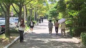 거점국립대학교