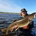 Far-north lake trout living in mystery