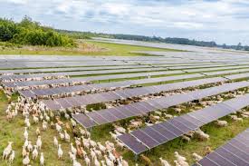 Solar Industry Updates: Investments, Tariffs, and Growth Strategies
