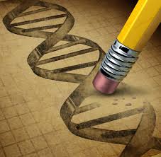 Image result for genetic engineering
