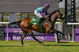 Cape Racing - News update