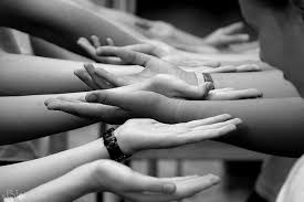 Image result for trust fall images