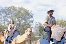 TV Tonight | Australia's Leading TV Blog - News update