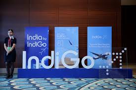 indigo