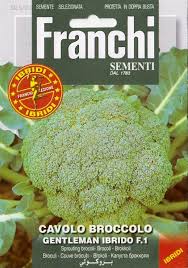 Image result for RAU MẦM CẢI XANH