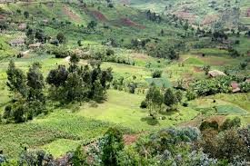 Image result for burundi