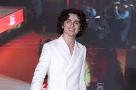 Do you look like Timothée Chalamet? You could win some cash at NYC contest