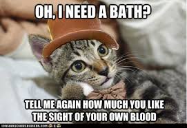 Image result for Animal Meme