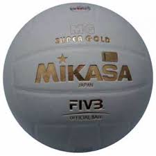 Image result for foto bola volly