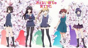 Hasil gambar untuk saenai heroine no sodatekata