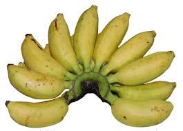 Hasil gambar untuk 5  pisang