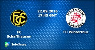 Image result for Schaffhausen - Winterthur