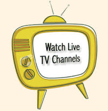 http://livetvchannelsfree.com/puthiyathalaimurai.html
