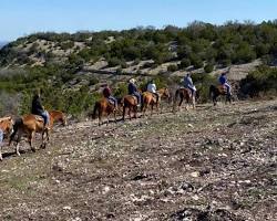 Image of Fredericksburg Texas horseback riding