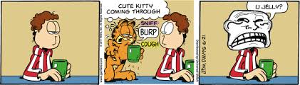 Image result for GARFIELD MEME