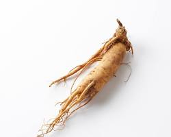 Imagem de Ginseng root