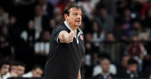 Eurohoops - News update