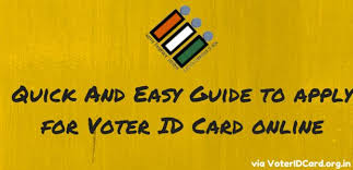 Image result for correct voter id