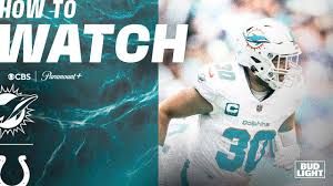 Miami Dolphins - News update