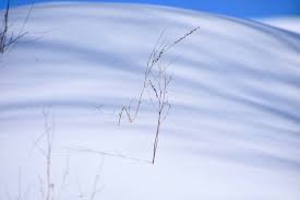 Good morning, Timmins! Here's today's weather!